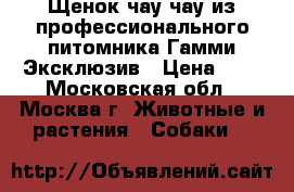 Щенок чау-чау из профессионального питомника Гамми Эксклюзив › Цена ­ 1 - Московская обл., Москва г. Животные и растения » Собаки   